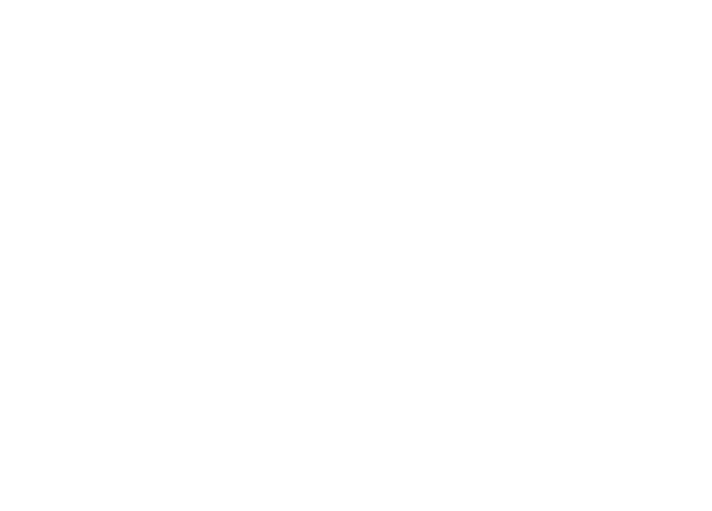 ORKSTRA.ai